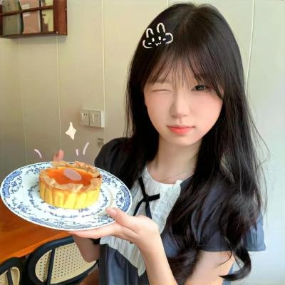 端岛计划